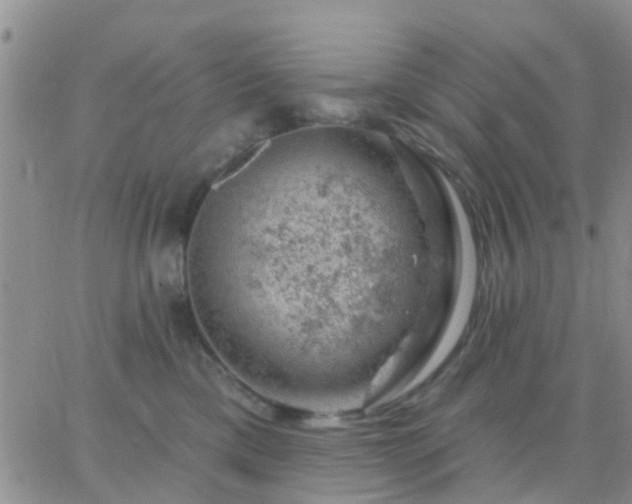 X0000065260425200602242119