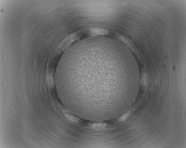 X0000065260426200602242119