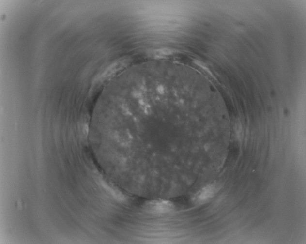 X0000065260427200602242119