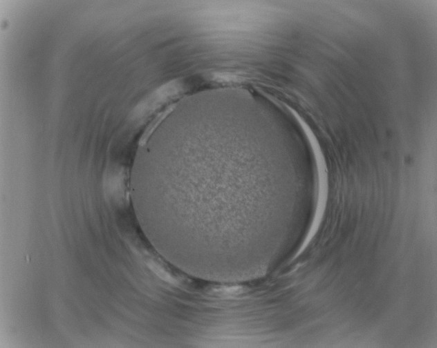 X0000065260428200602242119