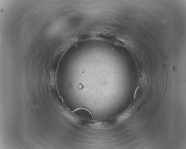 X0000065260430200602242119