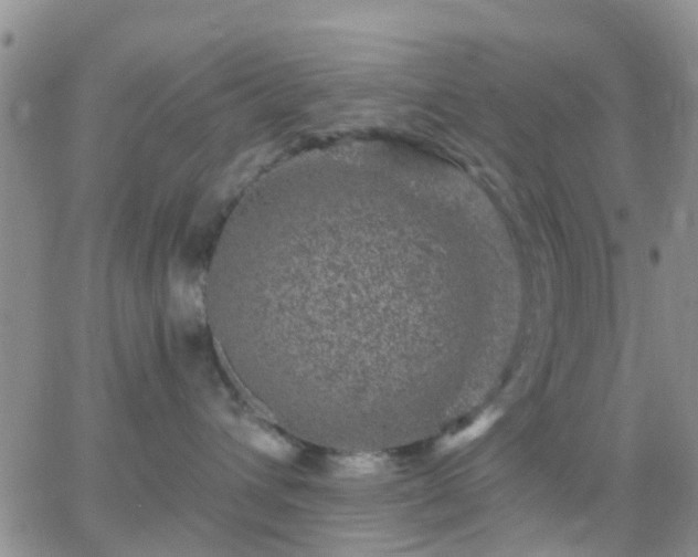 X0000065260432200602242119