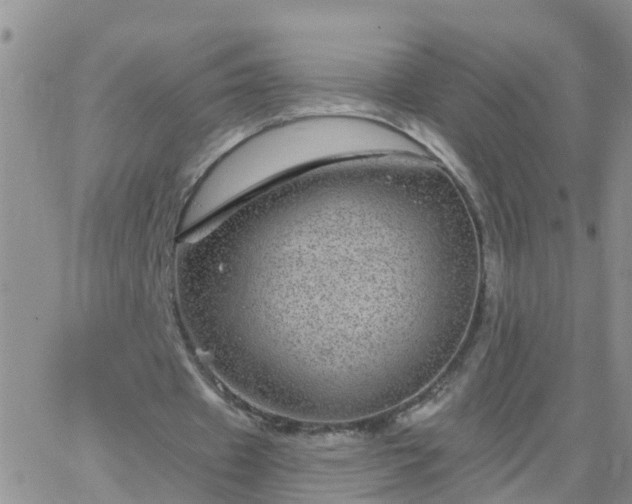 X0000065260433200602242119