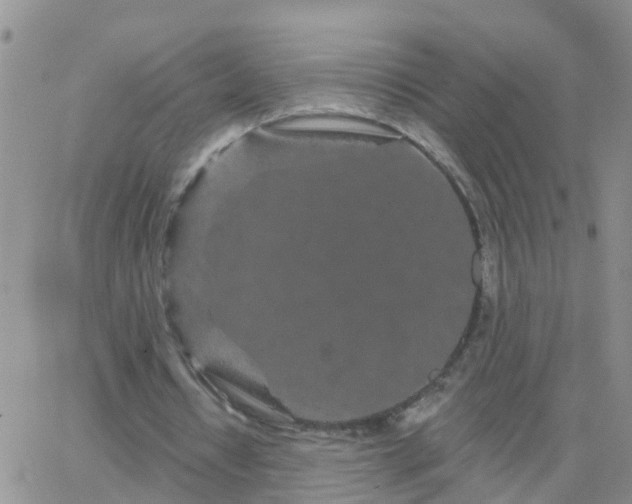 X0000065260434200602242119