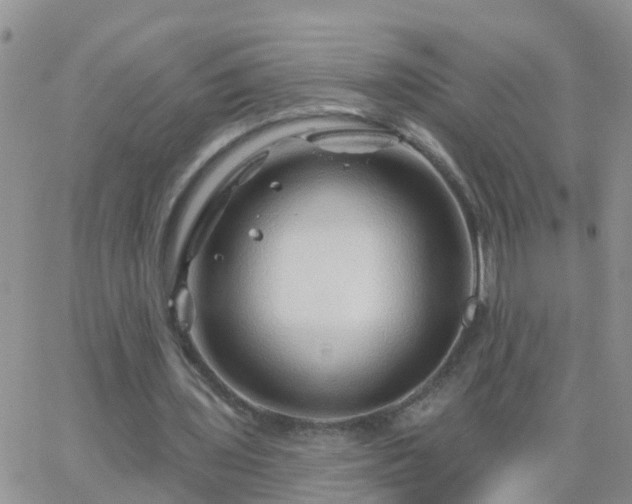 X0000065260435200602242119