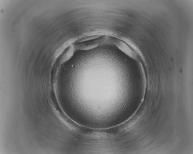 X0000065260437200602242119