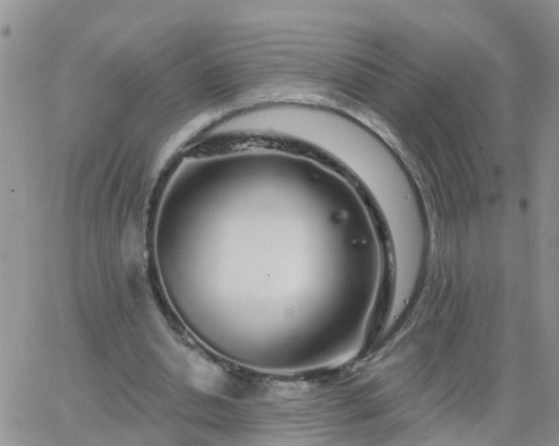 X0000065260438200602242119