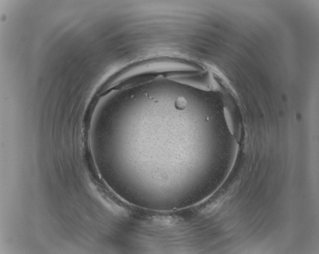 X0000065260439200602242119