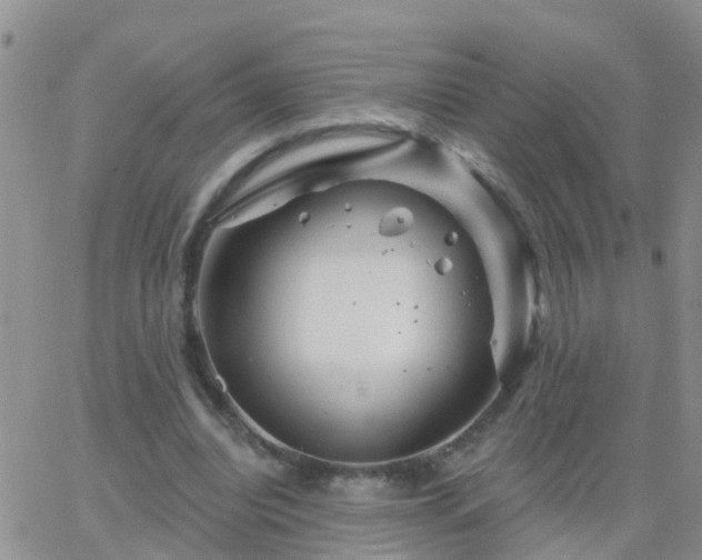 X0000065260440200602242119