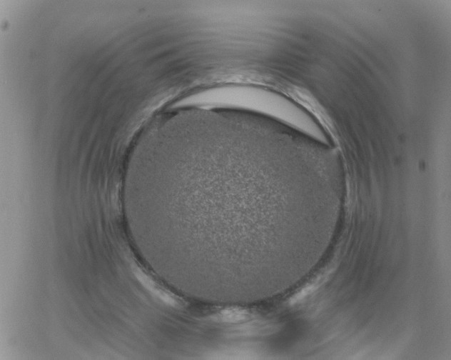 X0000065260441200602242119