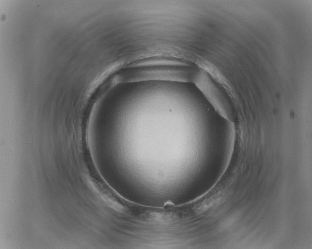 X0000065260442200602242119