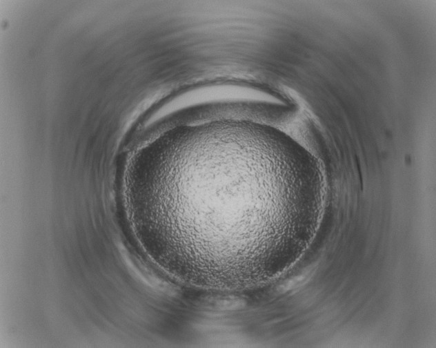 X0000065260443200602242119