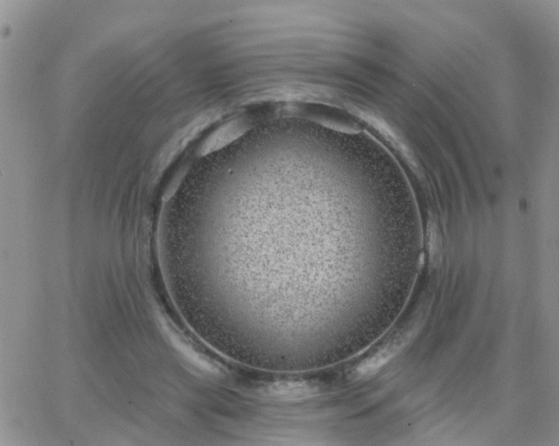 X0000065260445200602242119