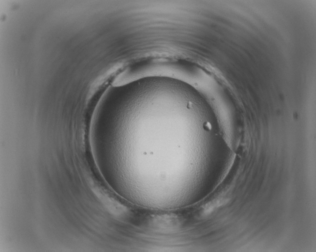 X0000065260446200602242119