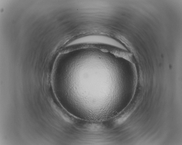 X0000065260449200602242119