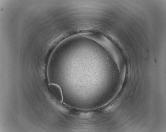 X0000065260450200602242119