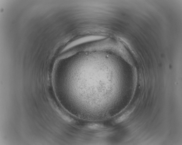 X0000065260453200602242119