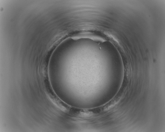 X0000065260455200602242119