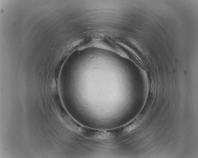 X0000065260459200602242119