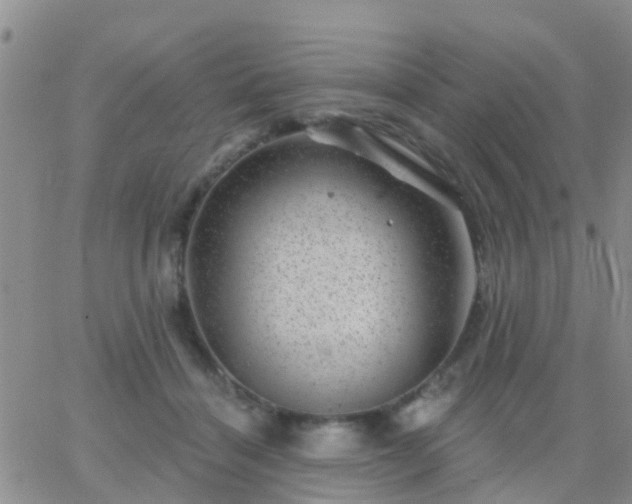 X0000065260460200602242119