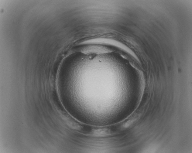 X0000065260461200602242119