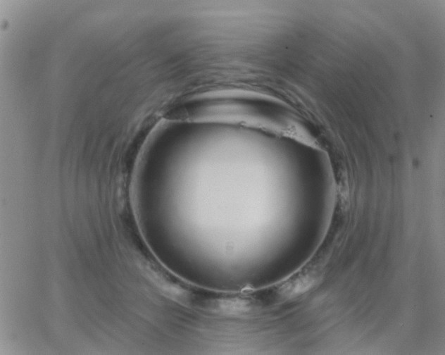 X0000065260462200602242119