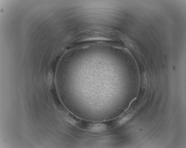 X0000065260463200602242119