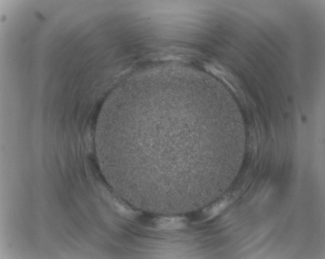 X0000065260465200602242119