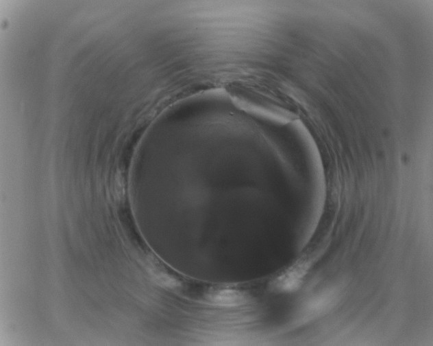 X0000065260467200602242119