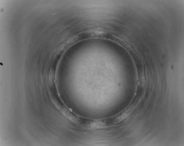 X0000065260468200602242119