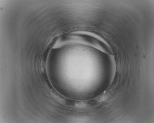 X0000065260470200602242119