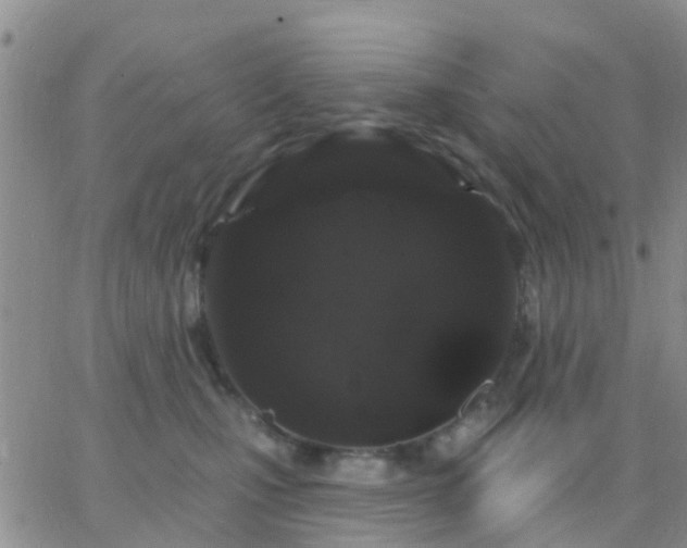 X0000065260471200602242119