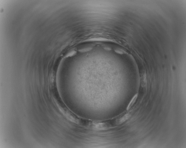 X0000065260472200602242119