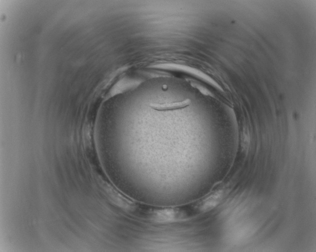 X0000065260473200602242119