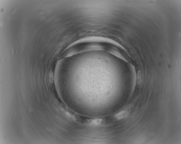 X0000065260474200602242119