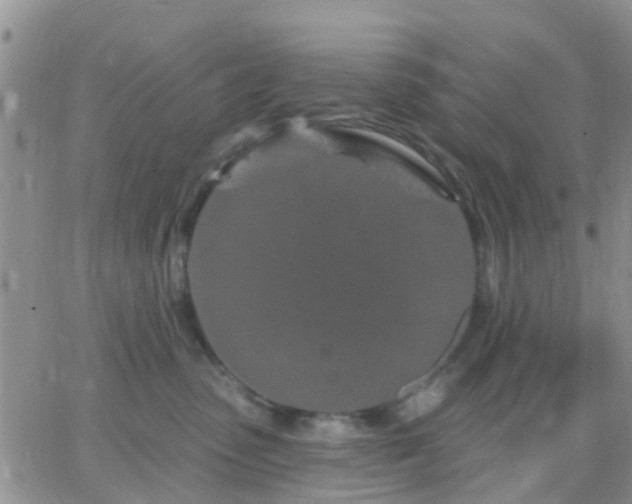 X0000065260475200602242119