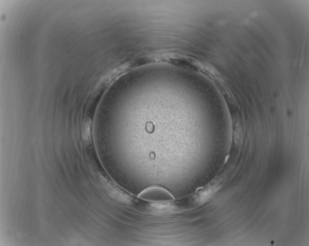 X0000065260477200602242119