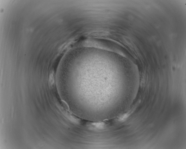 X0000065260478200602242119