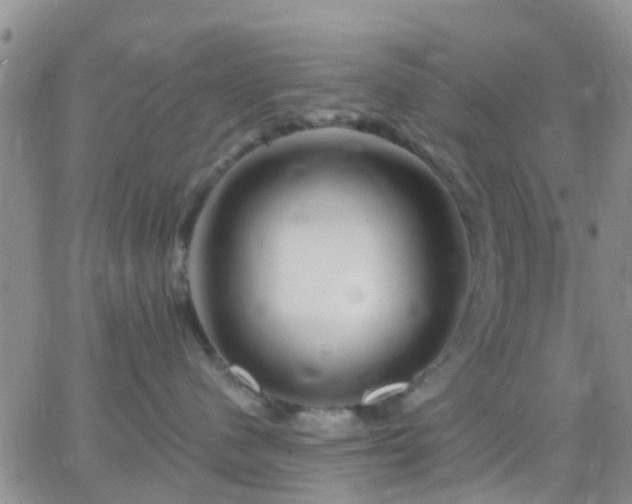 X0000065260480200602242119