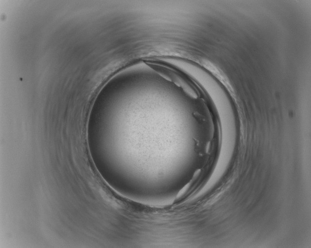 X0000065260481200602242119