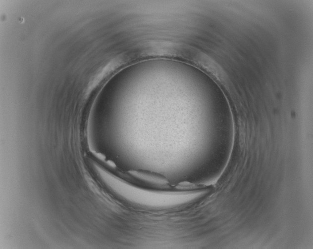 X0000065260482200602242119