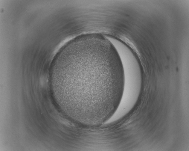 X0000065260483200602242118