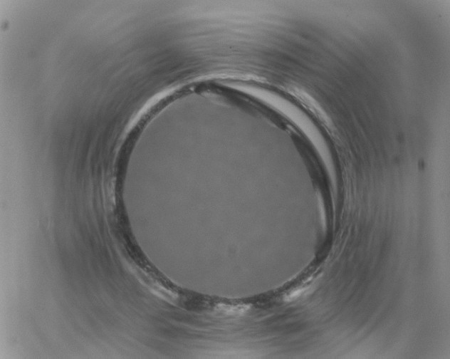 X0000065260484200602242118