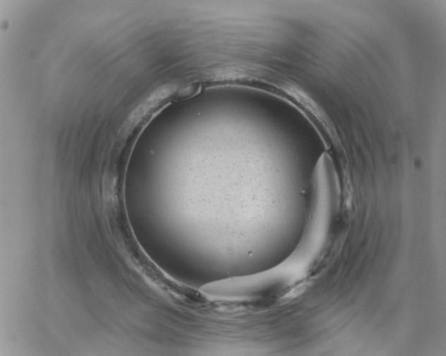 X0000065260485200602242118