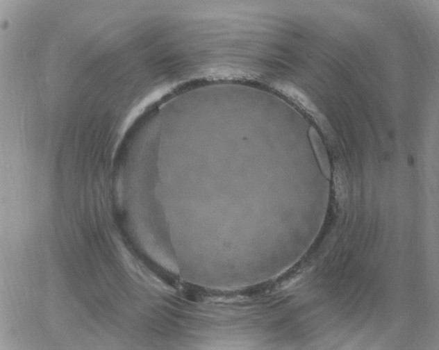 X0000065260488200602242118