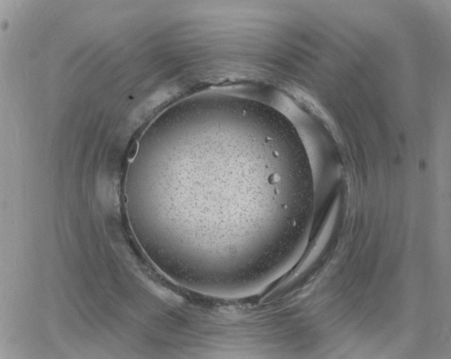 X0000065260489200602242118