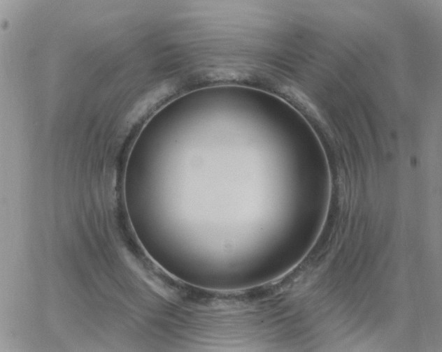 X0000065260490200602242118