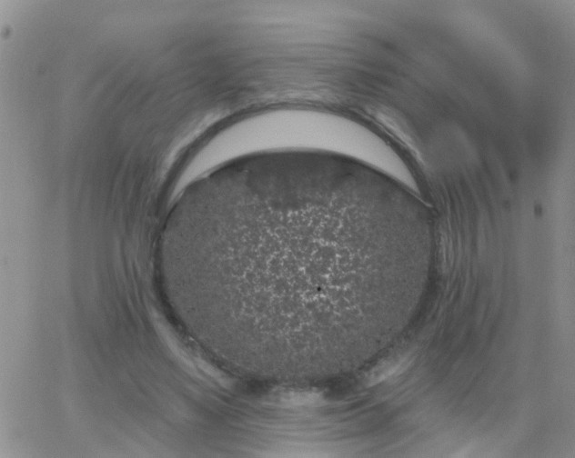 X0000065260491200602242118