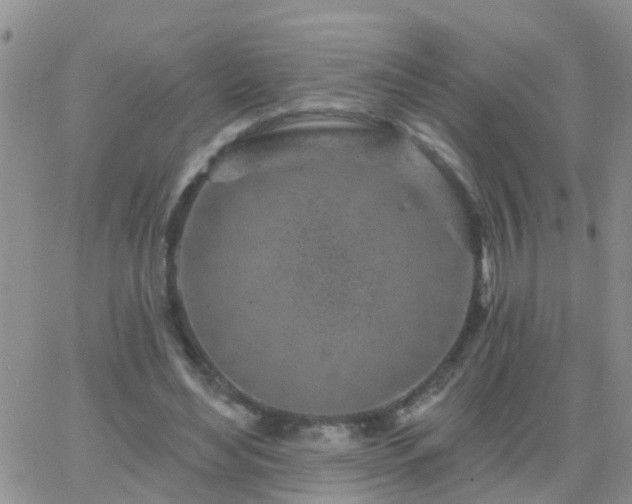 X0000065260492200602242118