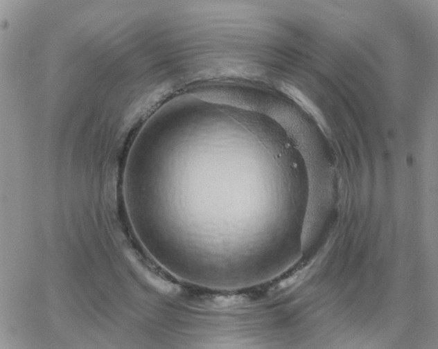 X0000065260493200602242118